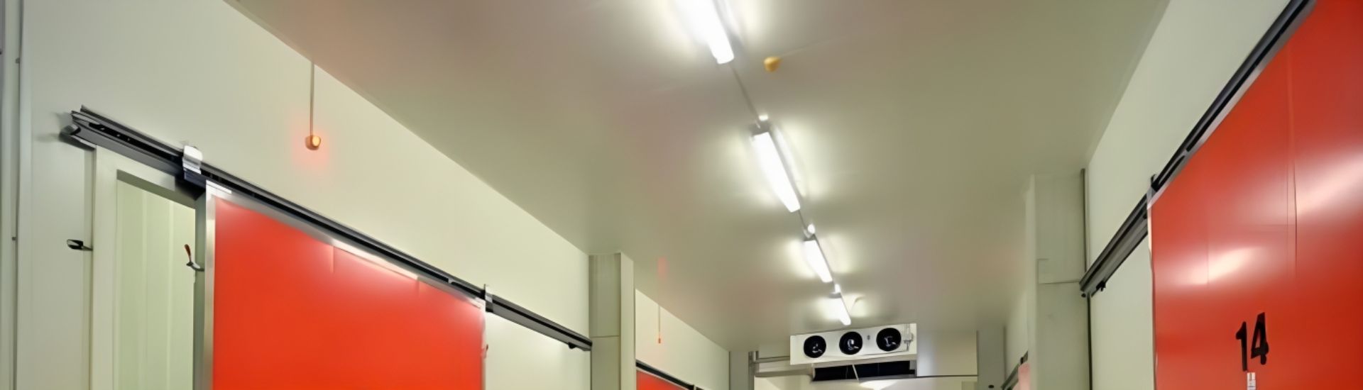 Cold Storage Room Facility Lights