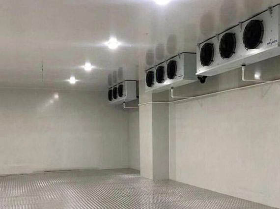 Comprehensive Grapes Cold Storage