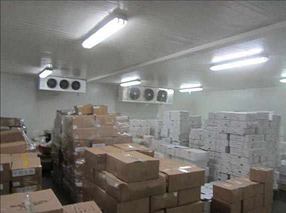 Large Cold Room Warehouse