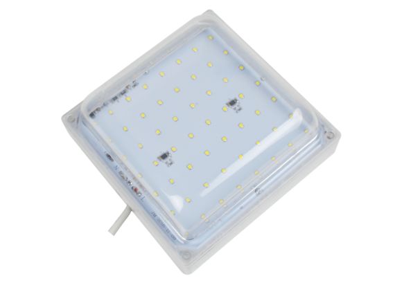 Cold Room LED Lights