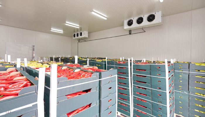 Cold Storage Freezing