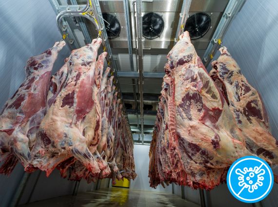 Reduce the Risk of Contamination
