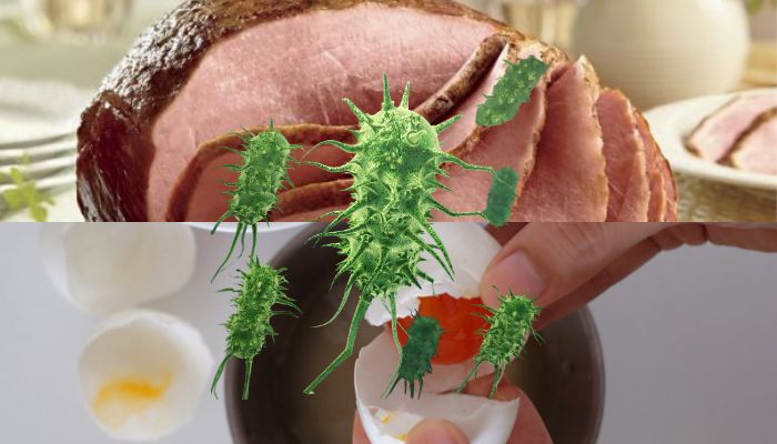 Bacteria on Ham and Eggs