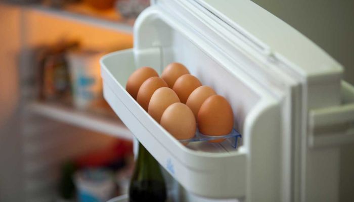 Proper Storage of Eggs