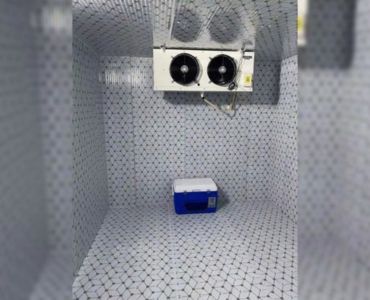 Arctic Chill Ice Cold Room
