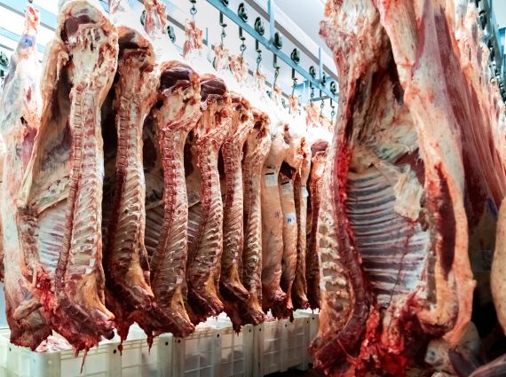 Meat Hanging Rails are Designed for Meat Industry