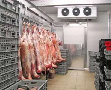 Custom Cold Room for Meat Storage