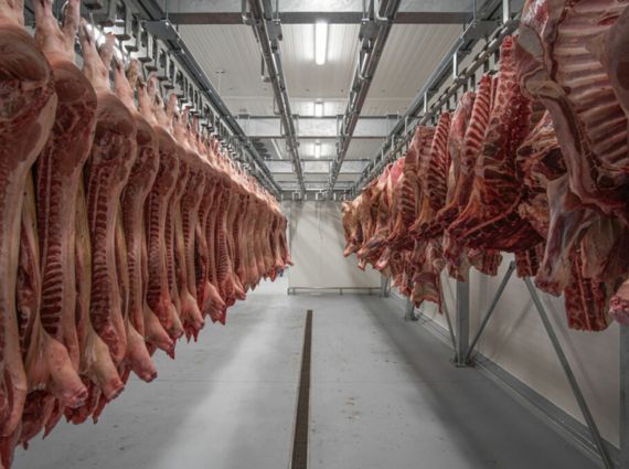 Meat hanging rail