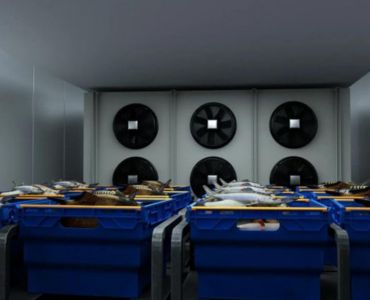Freezing and Refrigerated Storage in Fisheries