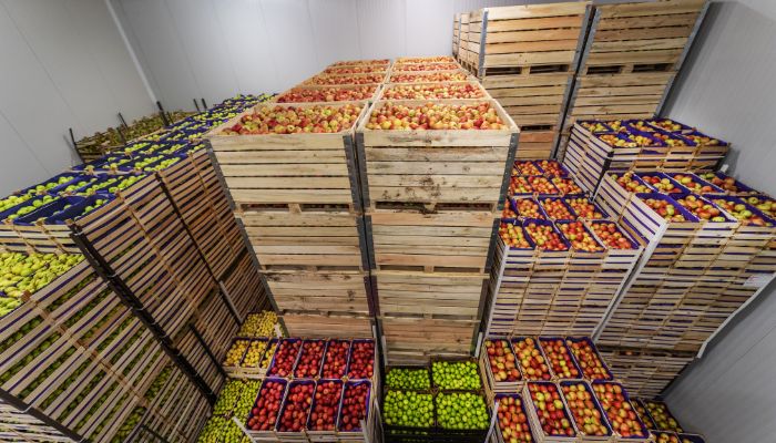 walk-in freezers or cold rooms