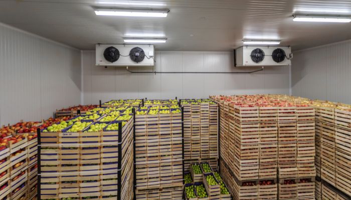 Fresh Produce