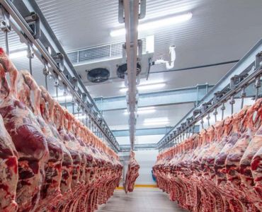 Meat Freezer Room